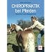 Chiropraktik bei Pferden: Gesundheit durch Beweglichkeit