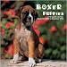 Boxer Puppies 2010 Wall Calendar