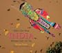 A Kite's Eye View: India: Between Earth and Sky