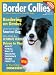 Border Collies