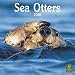 Sea Otters 2010 Square Wall (Multilingual Edition)
