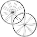Campagnolo Khamsin Clincher Road Bicycle Wheel Set - Campy Freehub
