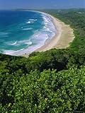 IMAGE OF Tallow Beach from Cape Byron, Australia Photographic Poster Print by Robert Francis, 12x16