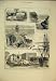 1879 Sydney Australia Macquarie Chair Hornby Light