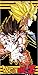 Dragon Ball Z Goku Bath Towel