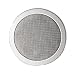 Two-Way Ceiling Speaker