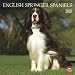 English Springer Spaniels (International) 2010 Square Wall (Multilingual Edition)