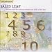 Paraliminal CD: Sales Leap