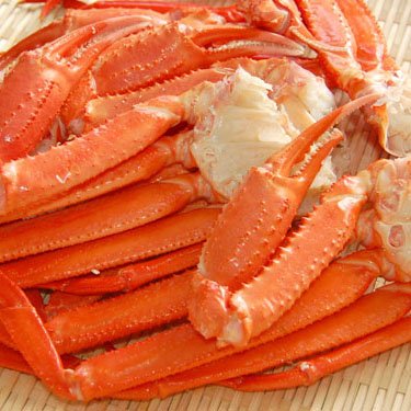 【かなはし水産】《訳あり》釧路産紅ズワイガニ足1.5Kg詰