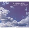 Like A Brother by Gerry Beckley, Robert Lamm, Carl Wilson