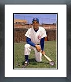Billy Williams Chicago Cubs Framed Picture 8x10