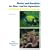 Fische und Korallen im Meer und im Aquarium