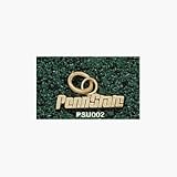 Penn State Nittany Lions Penn State Charm - 14KT Gold Jewelry