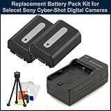 2 Battery Pack Kit for Sony Cyber-Shot DSC-HX100V/DSC-HX200V Digital Cameras Digital Cameras. Package Includes: 2 Extended Life Replacement Batteries, Rapid Travel Charger, Table Top Tripod, LCD Screen Protectors and Cleaning Kit