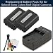 2 Battery Pack Kit for Sony