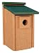 Going Green Bluebird House