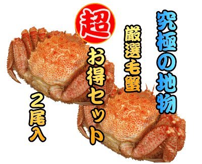 北海道産【活】毛ガニ２尾で約1.0kｇ入り