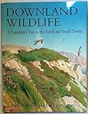 Downland wildlife