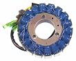 Accel 152438 Motorcycle Stator for Kawasaki VN700/750/800