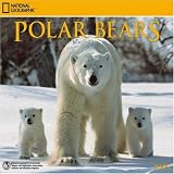 National Geographic Polar Bears 2009 Calendar