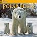 National Geographic Polar Bears 2009 Calendar by Zebra Publishing Corporation