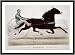 Historic Print (M): Grand pacer Richball, record 2:12 1/2 owned by D.L. Hughes, Keokuk, Iowa, driven by Jame Image