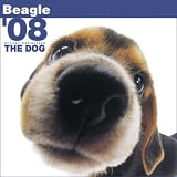 Beagle The Dog 2008 Wall Calendar