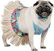 Pet Tiki Girl Dog Halloween Costume For Medium Dog