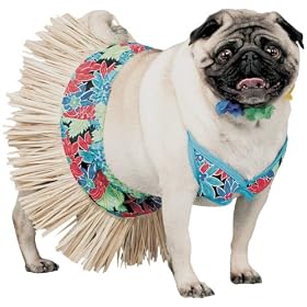 Pet Tiki Girl Dog Halloween Costume For Medium Dog