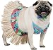 Pet Tiki Girl Dog Halloween Costume For Medium Dog