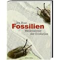 Fossilien: Meilensteine der Evolution
