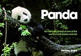 Panda : an intimate portrait of one of the world's most elusive animals