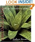 Bromeliads for the Contemporary Garden