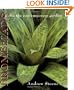 Bromeliads for the Contemporary Garden