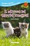 Il mistero dei gattini scomparsi