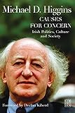 Causes for concern : Irish politics, culture and society