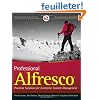 Professional Alfresco: Practical Solutions for Enterprise Content Management