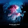 Bild des Albums von Pineapple Thief