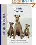 Irish Terrier: A Comprehensive Owner's Guide