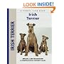 Irish Terrier (Comprehensive Owner's Guide)