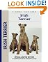 Irish Terrier