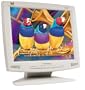 ViewSonic VE150M 15" LCD Monitor