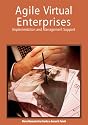 Agile Virtual Enterprises: Implementation and Management Support