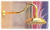 Centurion 8 Shower Head with Extended Arm - Polished Brass w/Supercoat Finish