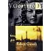 Vaporetto 13