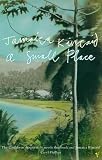 A Small Place