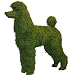 poodle4 - 17 High Topiary Poodle filled with Sphagnum Moss