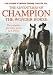 The Adventures Of Champion The Wonder Horse - Complete 6 DVD Set [1955]