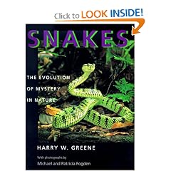 Snakes: The Evolution of Mystery in Nature