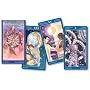 Gay Tarot (English and Spanish Edition)